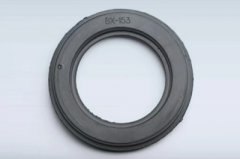 Rubber coated rtj gasket